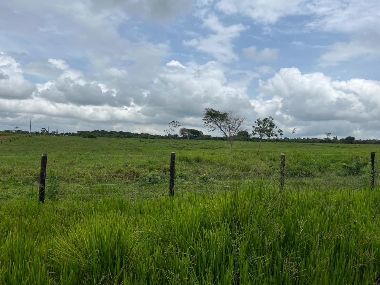 Fazenda Garimpinho